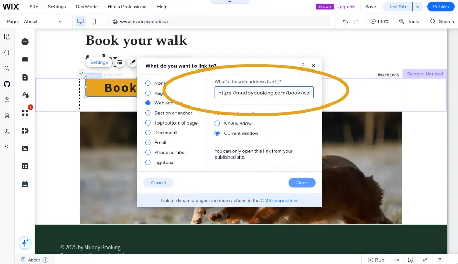 Wix button settings