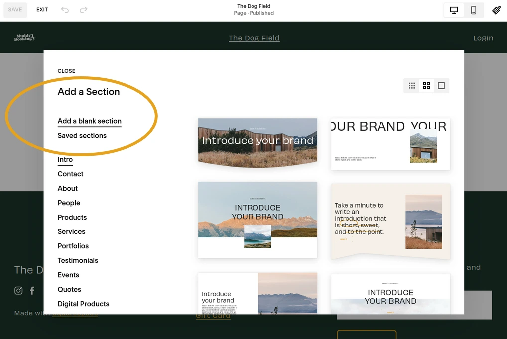 Squarespace section selection