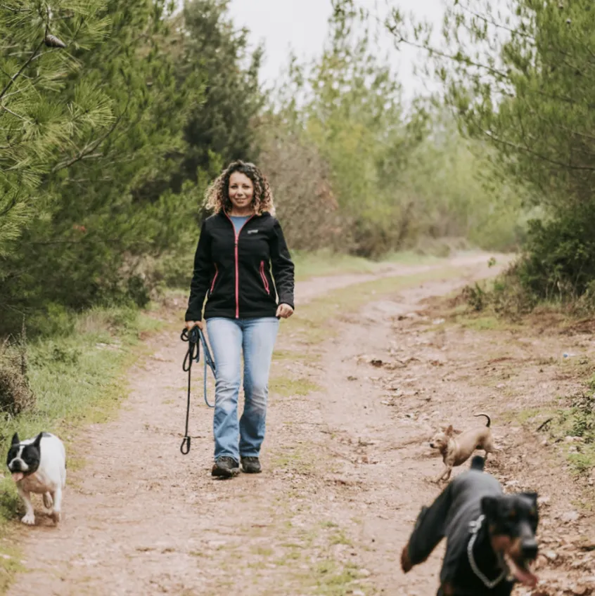 Dog Walker